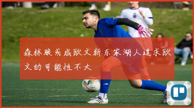 森林狼或成欧文新东家湖人追求欧文的可能性不大