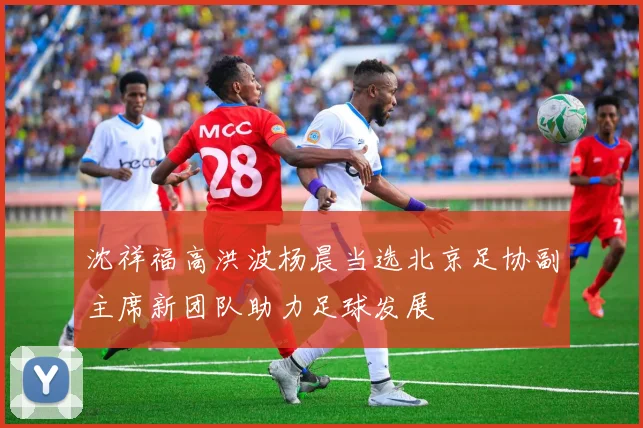 沈祥福高洪波杨晨当选北京足协副主席新团队助力足球发展
